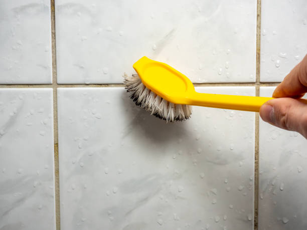 Best Mold Removal Near Me  in Dover, OH