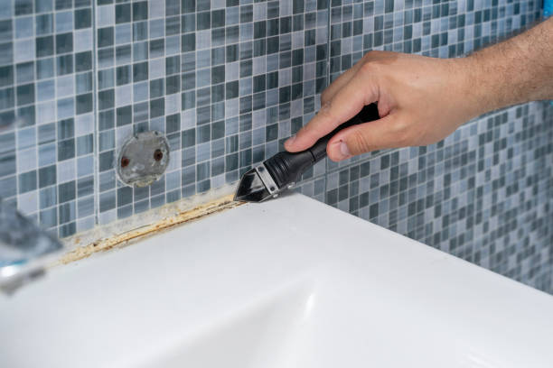 Best Best Mold Removal Companies  in Dover, OH